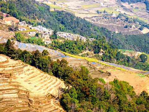 梯田大山