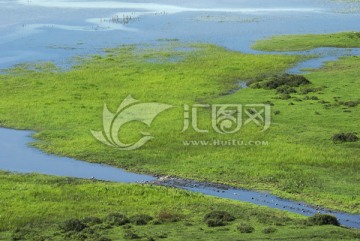 沼泽湿地