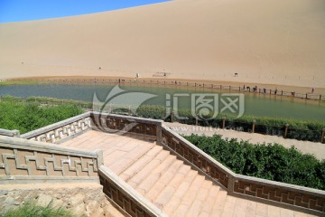 沙漠 绿洲 植物 石梯 步道