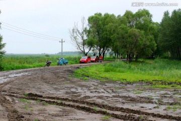 公路 路 防护林 农田 道路