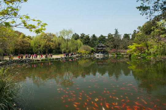 杭州花圃