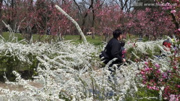 喷雪花