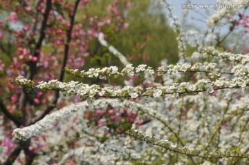 喷雪花