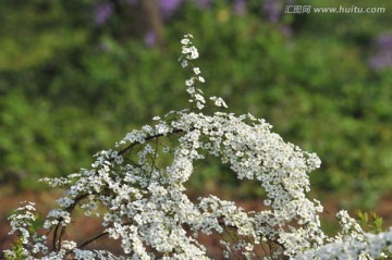 喷雪花