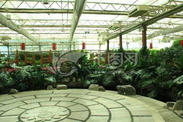 植物园