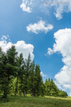 天空云朵树林