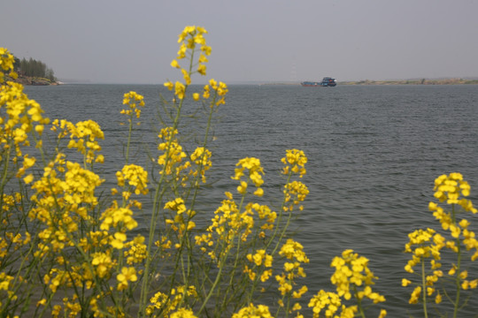 春暖花开 河流