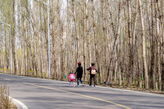 林中小路