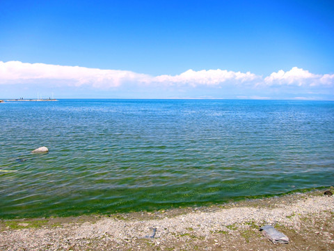 青海湖
