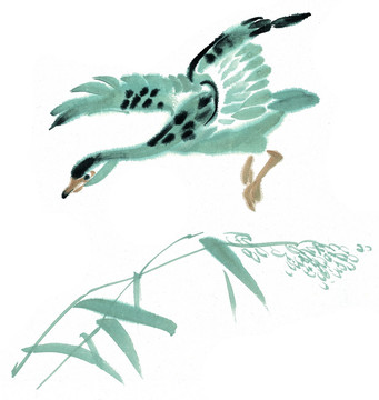 國(guó)畫 花鳥