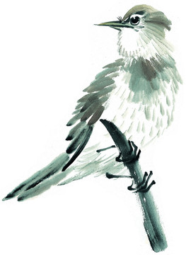國(guó)畫 花鳥