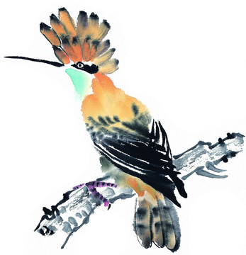 國(guó)畫 花鳥