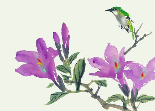 國(guó)畫(huà)花鳥(niǎo)素材