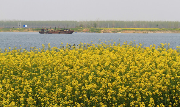 春暖花开 河流