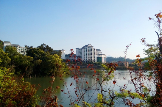 河源九里湖风景区