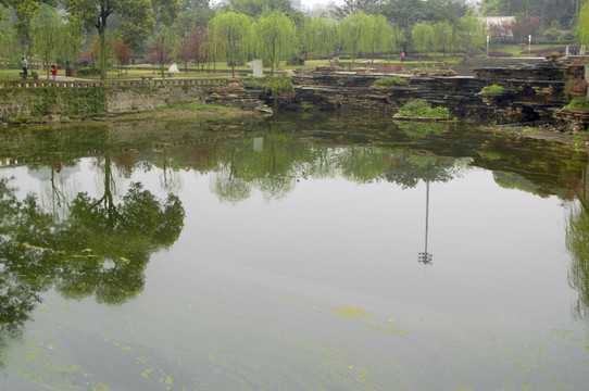 重庆大学 民主湖风光