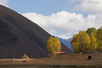 新都橋風(fēng)光