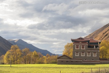 新都桥风光