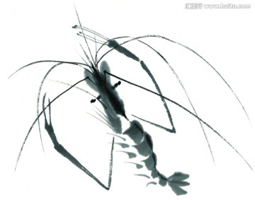 水墨魚(yú) 工筆畫(huà)素材