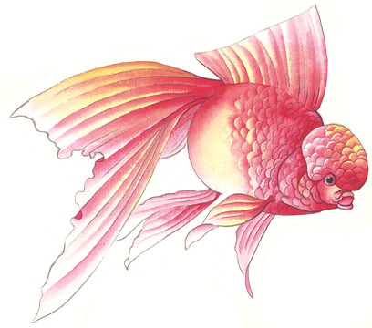 水墨魚 工筆畫素材