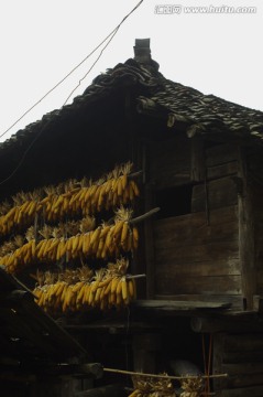 乡村风景