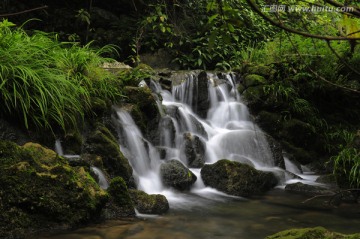 山中溪流