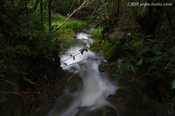 林中小溪