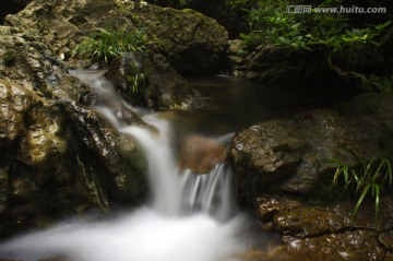 山涧 森林