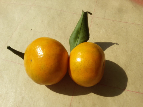 蔬菜水果橘子