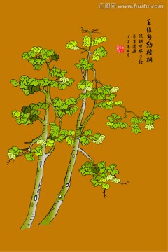 王維勾勒梧桐