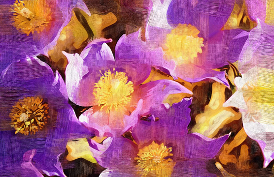 電腦油畫 山花