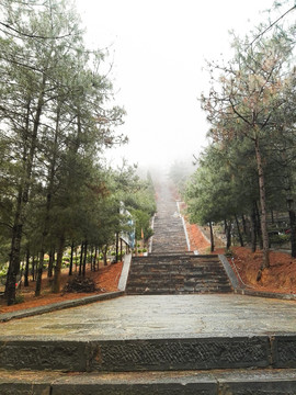 清明时节雨纷纷