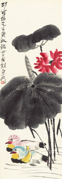 齊白石 荷花鴛鴦 博物館原畫掃