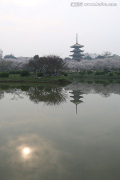 樱花园风景