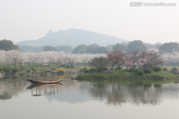 樱花园风景