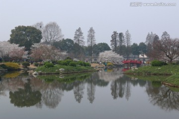 樱花园风景