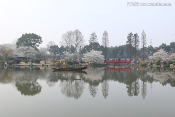 樱花园风景