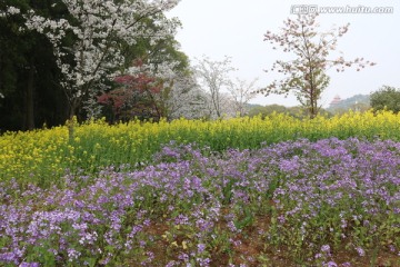 磨山公园 风景