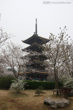 樱花园风景