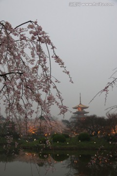 樱花园风景