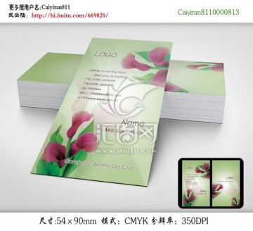 馬蹄蘭花名片