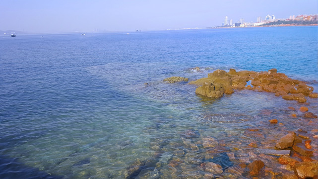 礁石 青岛 海边