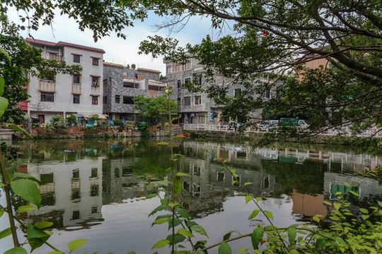 珠江日游及黄埔古港