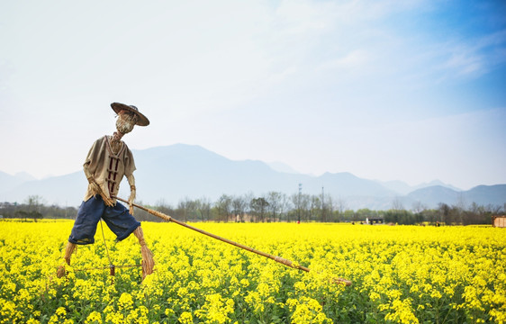 稻草人