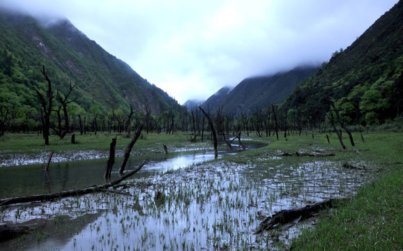 小河 山谷