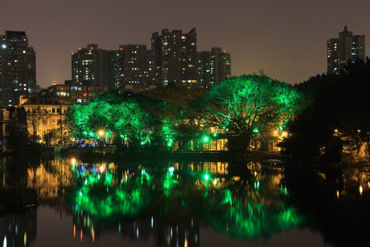 水影 荔枝湾