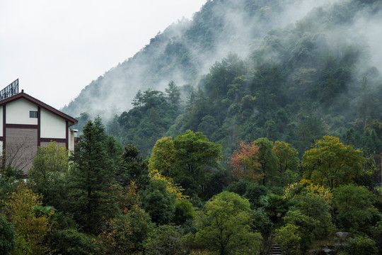 青山雨雾