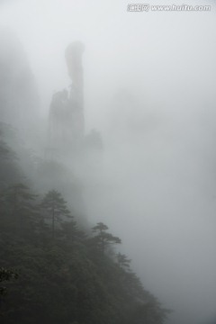 雾里奇峰