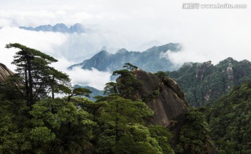 青山 绿树 云海