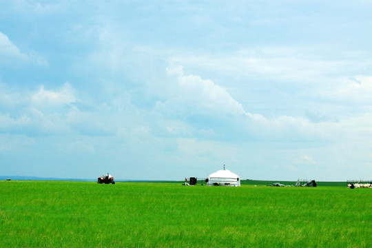 夏季草原蒙古包牧业点